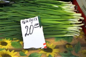 Цена на зеленый лук на рынке в Киеве