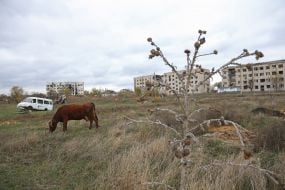 Arkhangelsk settlement (Kherson region) after deoccupation