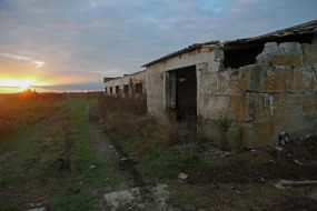 A pig farm in the village of Lyubimivka (Kherson region), where the Russian occupiers lived