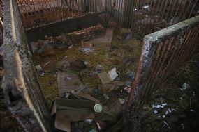 A pig farm in the village of Lyubimivka (Kherson region), where the Russian occupiers lived