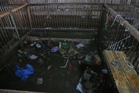 A pig farm in the village of Lyubimivka (Kherson region), where the Russian occupiers lived