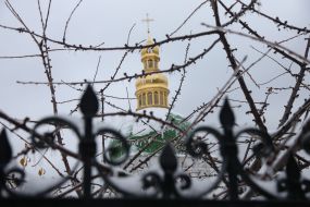 Frozen tree branches