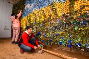 Маскировочная сетка - картина