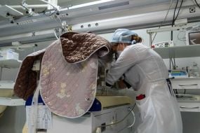 Nurse taking care of a child in a box in the neonatal intensive care unit at the Neonatology Center