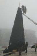 Installation of a Christmas tree on Sophia Square