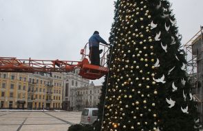 Installation of a Christmas tree on Sophia Square