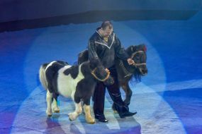 The premiere of the New Year's performance "Constellation"