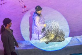 The premiere of the New Year's performance "Constellation"