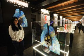 "ArtBronya" exhibition