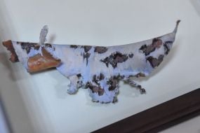 Exhibition "Life on the wreckage" in Zaporozhye