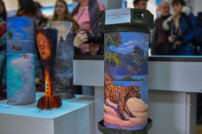 Exhibition "Life on the wreckage" in Zaporozhye