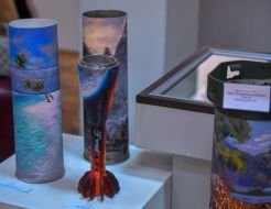 Exhibition "Life on the wreckage" in Zaporozhye