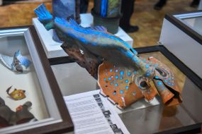 Exhibition "Life on the wreckage" in Zaporozhye