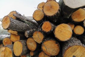 Firewood