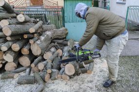Жители Львовской области заготавливают на зиму дрова