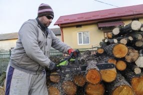 Residents of the Lviv region prepare firewood for the winter