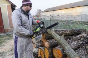 Residents of the Lviv region prepare firewood for the winter