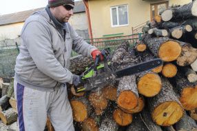 Residents of the Lviv region prepare firewood for the winter