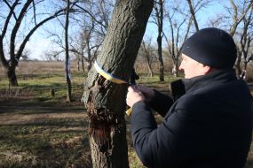 the site of the death of territorial defense fighters in Lilac Park in Kherson