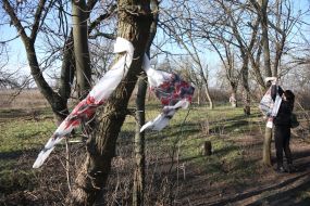 Artificial flowers at the site of the death of territorial defense fighters in Lilac Park in Kherson