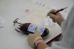 Donated blood in a container