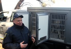 Presentation of cars for the transportation of service dogs