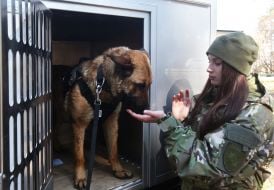 Dog breeder with a dog
