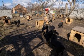 Owner of a private dog shelter in the village of Russian Tishki, Kharkov region