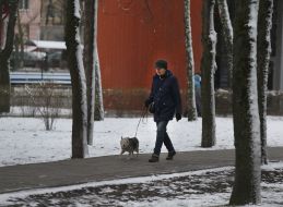 A woman walks a dog