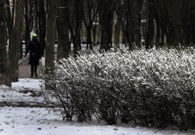 Snow in Kyiv