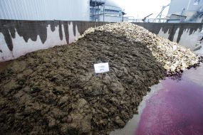 Ukraine's first biomethane plant