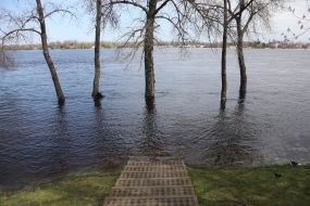 The flooded city park "Natalka" in Kyiv