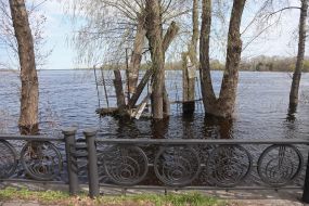The flooded city park "Natalka" in Kyiv