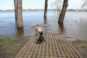 The flooded city park "Natalka" in Kyiv