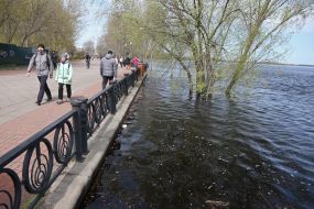 The flooded city park "Natalka" in Kyiv