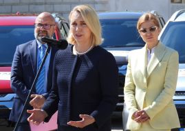 Бріджит Брінк