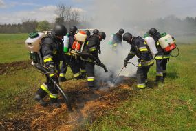Joint training of employees of the State Emergency Service, forestry and police in the territory of forestry in the Zaporizhzhia region