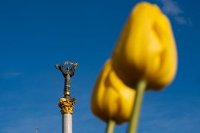 Tulips on Independence Square