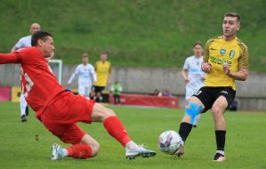 Football. FC "Lviv" and FC "Alexandria"