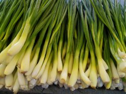green onion at the market in Kyiv