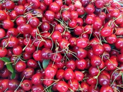 Cherries at the market in Kyiv