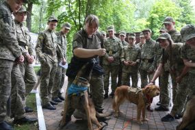 Кінолог із собаками
