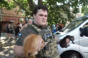 The rescuer holds kittens in his hands