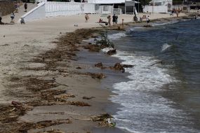 Garbage from the Kherson region on the Odessa coast