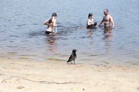 Summer vacation on the Obolon embankment in Kyiv