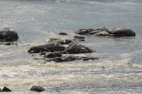 Dniprо River in Zaporozhye