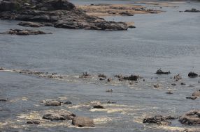 Dniprо River in Zaporozhye