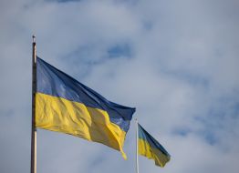 Flags of Ukraine