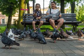 people feed the pigeons