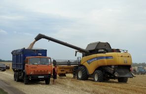 Collection of seed winter wheat in the Kharkiv region